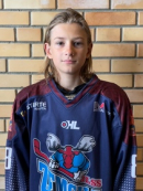 Henrijs Kapša