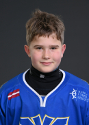 Kārlis Širjajevs