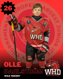Olle Dahlström