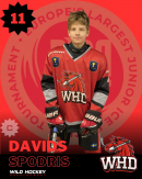 Davids Spodris