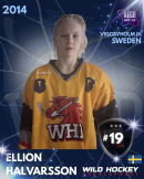 Ellion Halvarsson