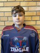 Karls Ārons Tihonovs