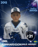 Emil Bernhardsson