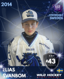 Elias Svanbom