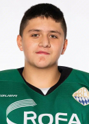 Alexander Ambroz Hansen