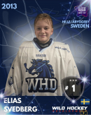 Elias Svedberg