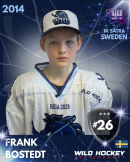 Frank Bostedt