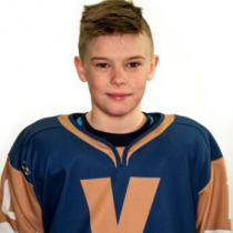 Gustavs Krafte