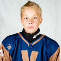 Mārtiņš Grāvelis