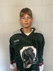 Aleksandrs Artjuhovs