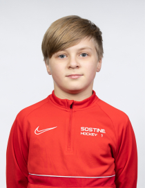 ALEKSANDR PROSIANIKOV