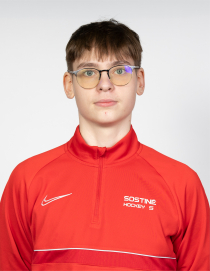 MANTAS LISAUSKAS