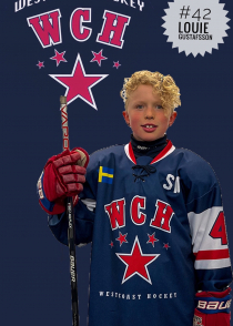 Louie Gustavsson