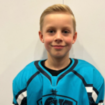 Domeniks Koļesņikovs