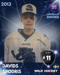 Davids Spodris