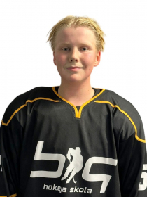 William Friedrich Velström