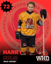 Harry Holm