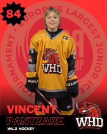 Vincent Pantzare