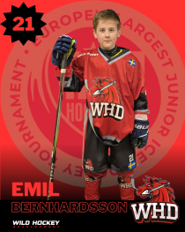 Emil Bernhardsson