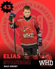 Elias Svanbom