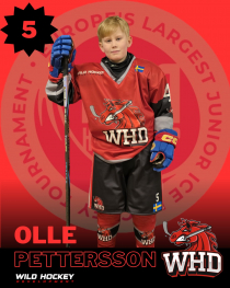Olle Pettersson