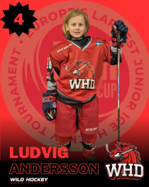 Ludvig Andersson