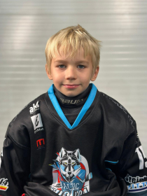 Kristans Daniels Mudelis