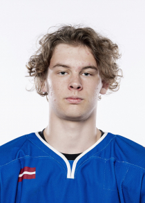 ARTIS DUKLAVS