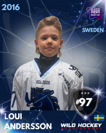 Loui Andersson