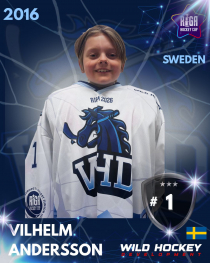 Vilhelm Andersson