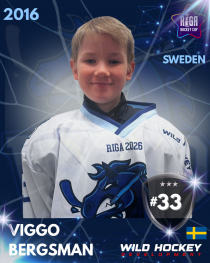 Viggo Bergsman