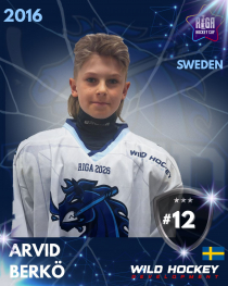 Arvid Berkö