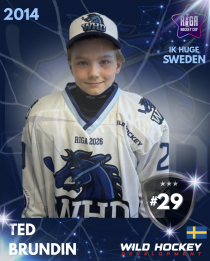 Ted Brundin