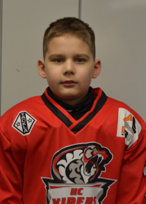 Dmitri Berezovski
