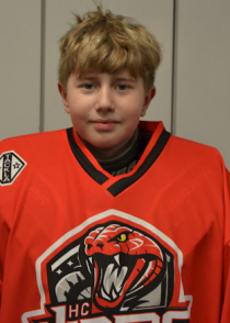 Rodion Tsalauzov