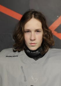 OLEKSII MESHCHERSKYI