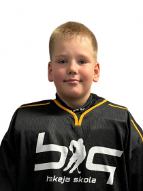 Boriss Koškulis