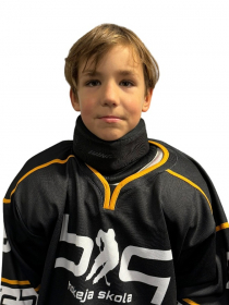 Roberts Strazdiņš