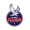 Slovak Falcons logo