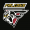 HS Falcons logo